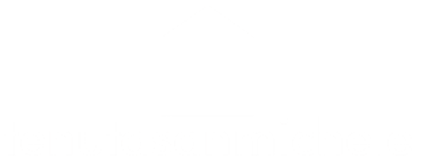 light logo
